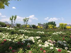 -狼牙山风景区
