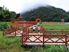 -广州市石门国家森林公园