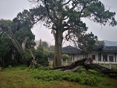 -司徒庙