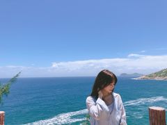 -广东惠东海龟国家级自然保护区