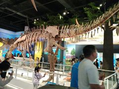 -国家自然博物馆