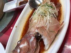 东星斑-港湾宴会厅(京基百纳店)