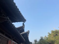 -广富林郊野公园