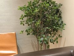 -极简口腔(总院)