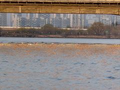 -咸阳湖景区-统一广场