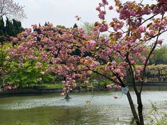 -汇龙潭