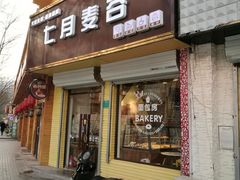门面-维尔纳斯·生日蛋糕·动物奶油冰淇淋蛋糕(六里桥店)