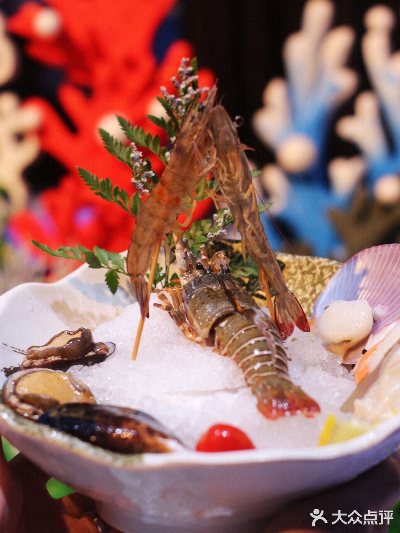 魔都新晋高逼格海鲜自助餐厅｜采极鲜🦞