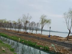 -羊山湖公园