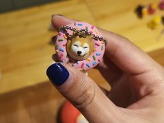 -柴务处·柴犬主题狗咖