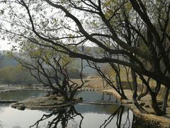 -武汉姚家山旅游景区