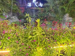 -花溪雨·森林餐厅(石基店)