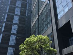 -海上海弘基休闲广场