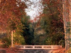 -河南省黄河迎宾馆