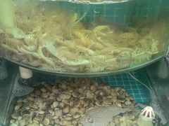 -仙螺岛海鲜自助餐厅(总店)
