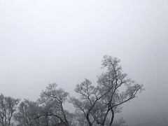 -綦江古剑山