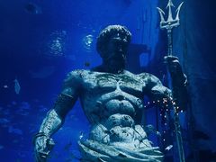 -正佳极地海洋世界