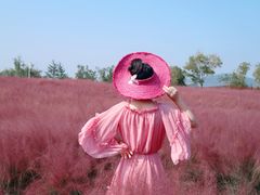 -羊亭河湿地公园