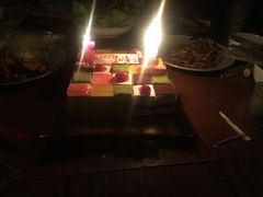 -维尔纳斯·生日蛋糕动物奶油冰淇淋蛋糕(人大店)