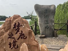 -溱湖国家湿地公园