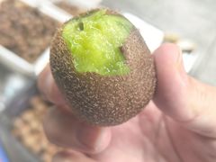 -海窝子古镇