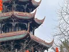 -望江楼公园