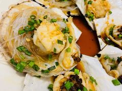 扇贝-华盛丰温州大排档(东三环南路店)