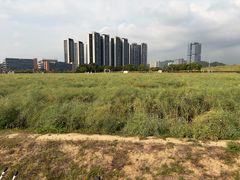 -光明小镇欢乐田园