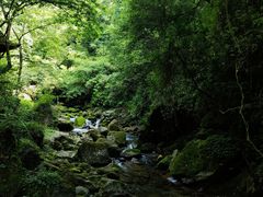 -青城山