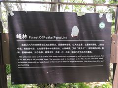 -牛背梁国家森林公园