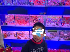 -三旗百汇商品城