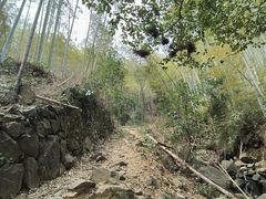-东明山森林公园