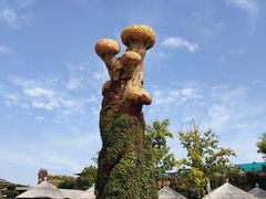 -大连海昌发现王国主题公园