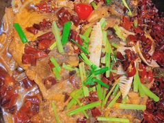 -老板恋上鱼(恒隆广场店)