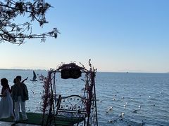-滇池海埂公园