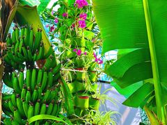 -北京植物园-展览温室