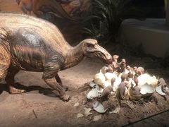 -自贡恐龙博物馆