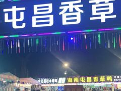 -盐禾堂海南屯昌香草鸭(海润路总店)