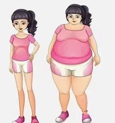 -香薇妮丝女子减肥院