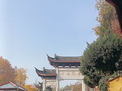 -鸡鸣赐茶(鸡鸣寺路店)