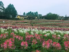 -保利石象湖景区