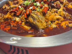 -美蛙四季(望京凯德茂店)