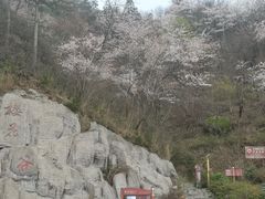 -大围山国家森林公园