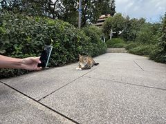 -杭州半山国家森林公园