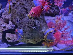 -太平洋海底世界