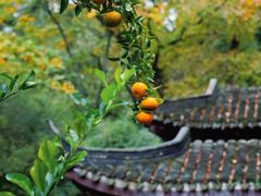 -虞山风景区
