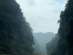 -碧峰峡风景区