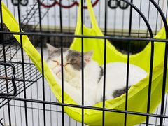 -四季暖堂·融合江浙菜(N1955创业园店)