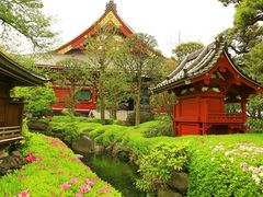 -浅草寺