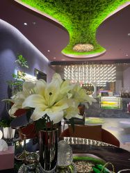 -花隐·美芙炫海菲秀皮肤管理中心